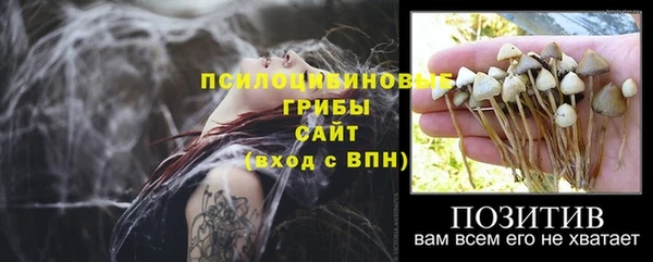 тгк Бугульма