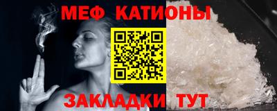 прущие грибы Балашиха