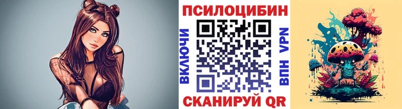 Псилоцибиновые грибы Psilocybine cubensis  Воткинск 