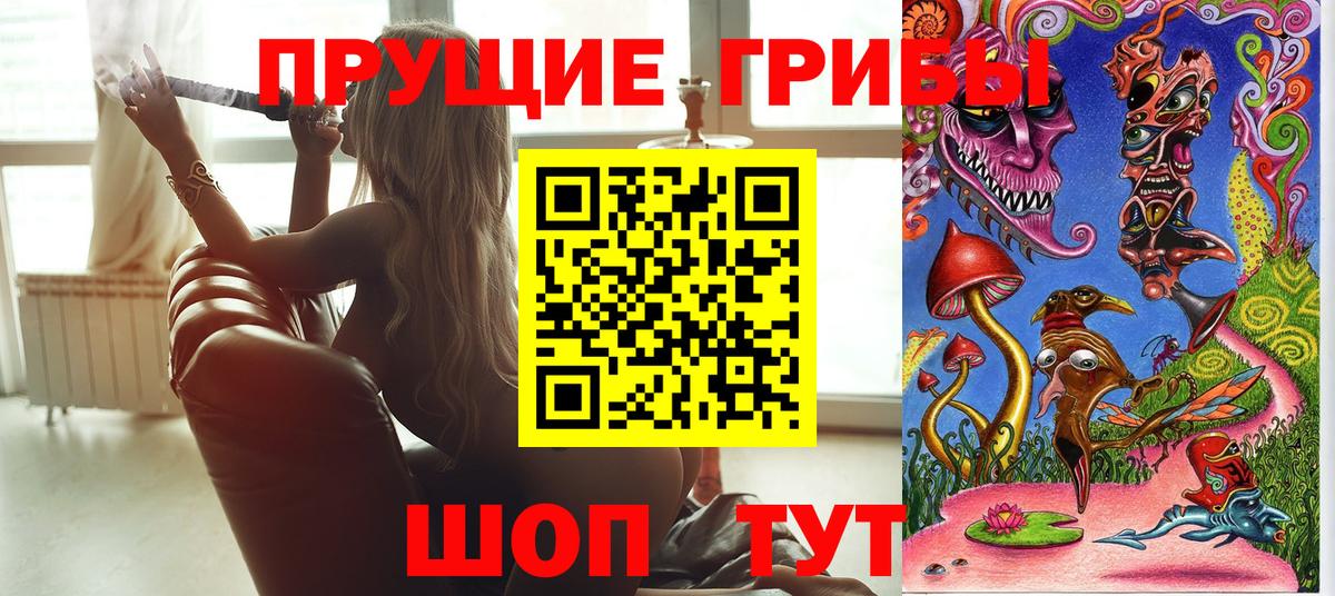 Воткинск  Псилоцибиновые грибы GOLDEN TEACHER  Псилоцибиновые грибы прущие грибы  Вход с VPN 
