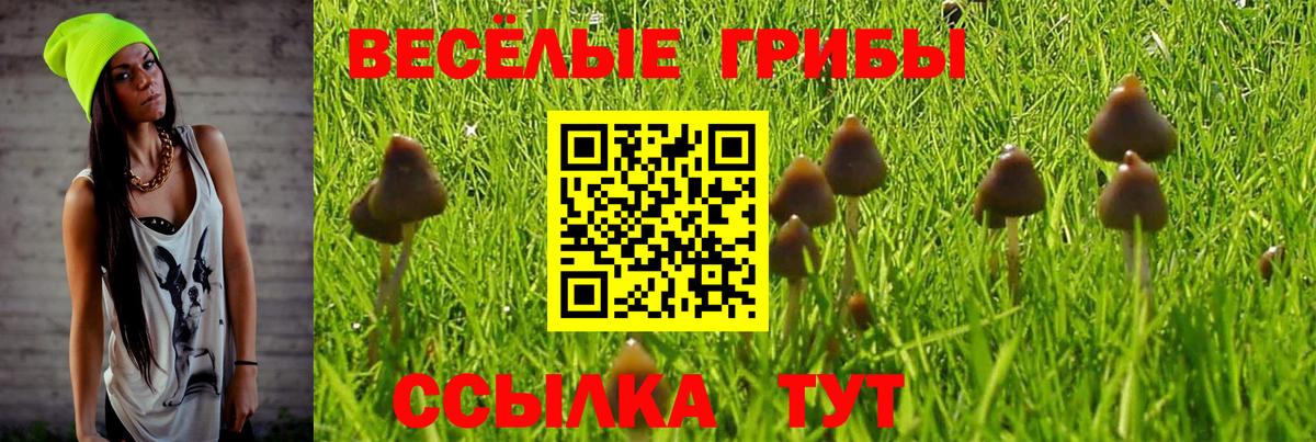 Галлюциногенные грибы Magic Shrooms  Псилоцибиновые грибы Psilocybe  Воткинск 
