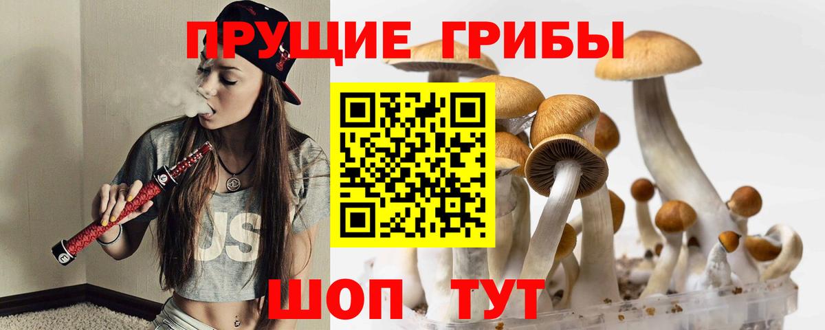 Галлюциногенные грибы Psilocybe Воткинск